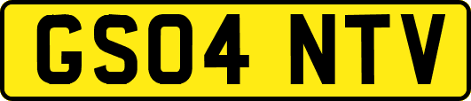GS04NTV