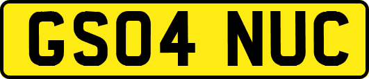 GS04NUC