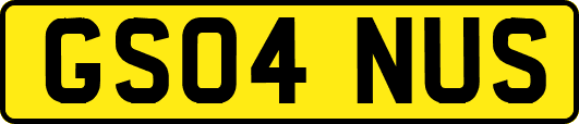 GS04NUS