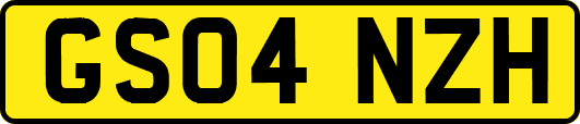 GS04NZH