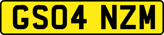 GS04NZM