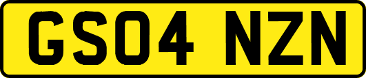 GS04NZN
