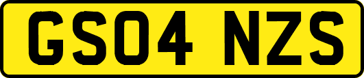GS04NZS