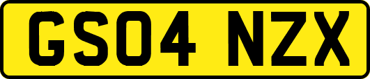 GS04NZX