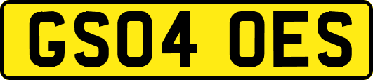 GS04OES