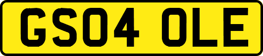 GS04OLE