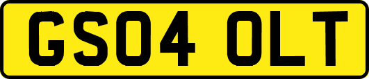 GS04OLT