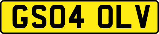 GS04OLV
