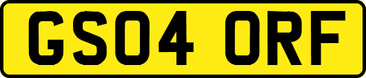 GS04ORF