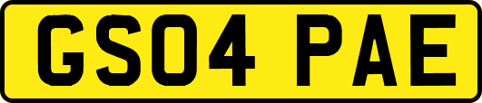 GS04PAE