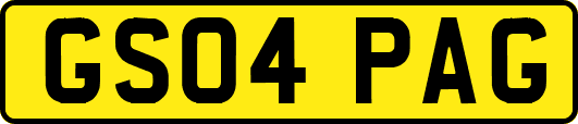 GS04PAG