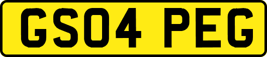 GS04PEG