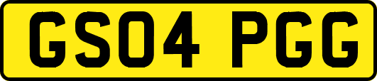 GS04PGG