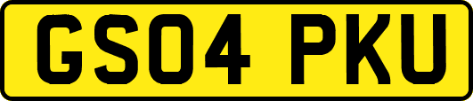 GS04PKU