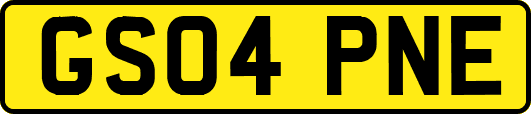 GS04PNE