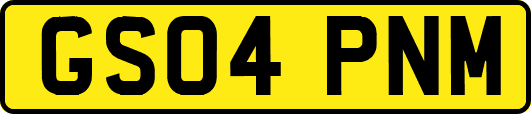 GS04PNM