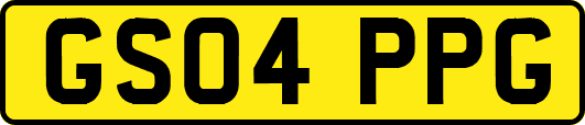 GS04PPG