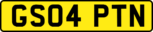GS04PTN