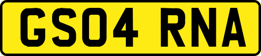 GS04RNA