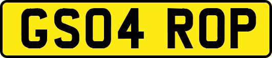 GS04ROP