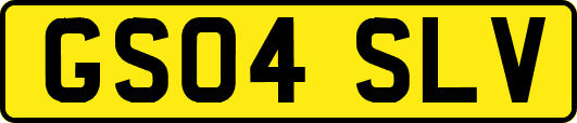 GS04SLV