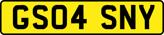 GS04SNY