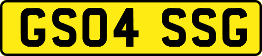 GS04SSG