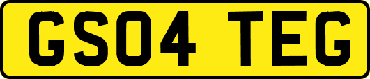 GS04TEG