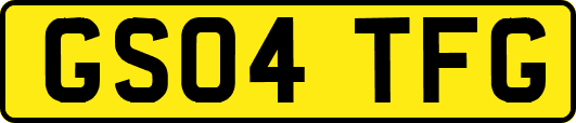 GS04TFG