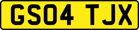 GS04TJX