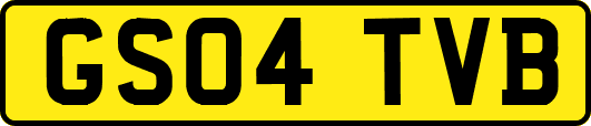 GS04TVB