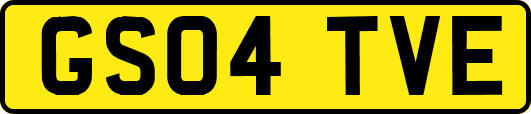 GS04TVE