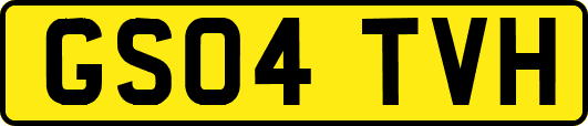 GS04TVH