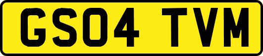 GS04TVM