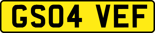 GS04VEF