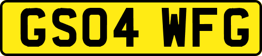 GS04WFG