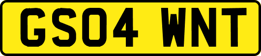 GS04WNT