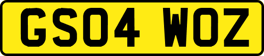 GS04WOZ