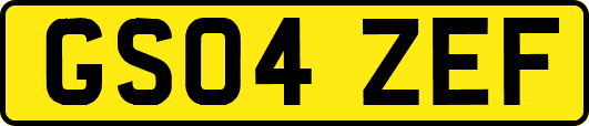 GS04ZEF