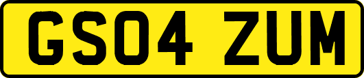 GS04ZUM