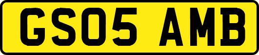 GS05AMB