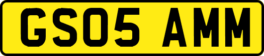 GS05AMM