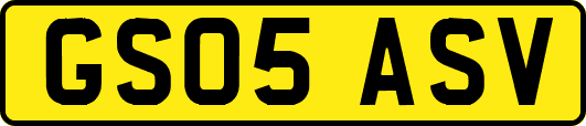 GS05ASV