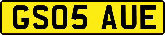 GS05AUE