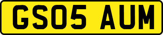 GS05AUM