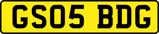 GS05BDG