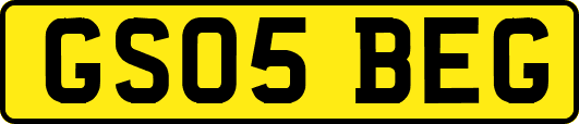GS05BEG