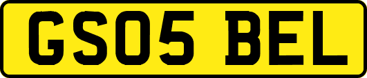 GS05BEL