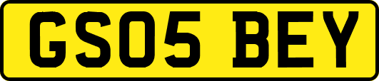 GS05BEY