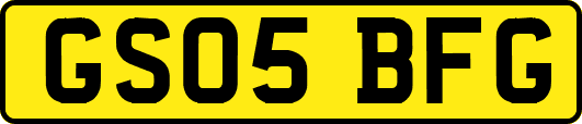 GS05BFG